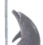 Delfin-Delfine-Fisch-Fische-51cm--e69--de1080210_y.jpg
